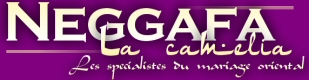 RETOUR SUR LE SITE WWW.NEGGAFALACAMELIA.COM